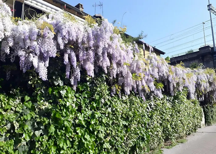 Somare Apartamento *